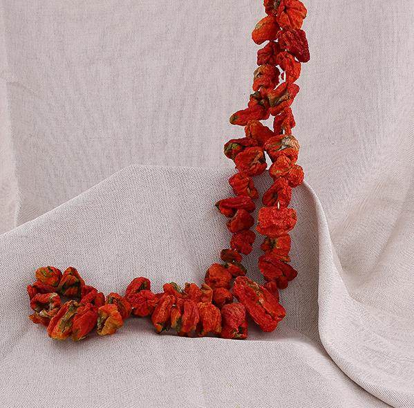 Tatlı Biber Kurusu Dolmalık 1 bağ