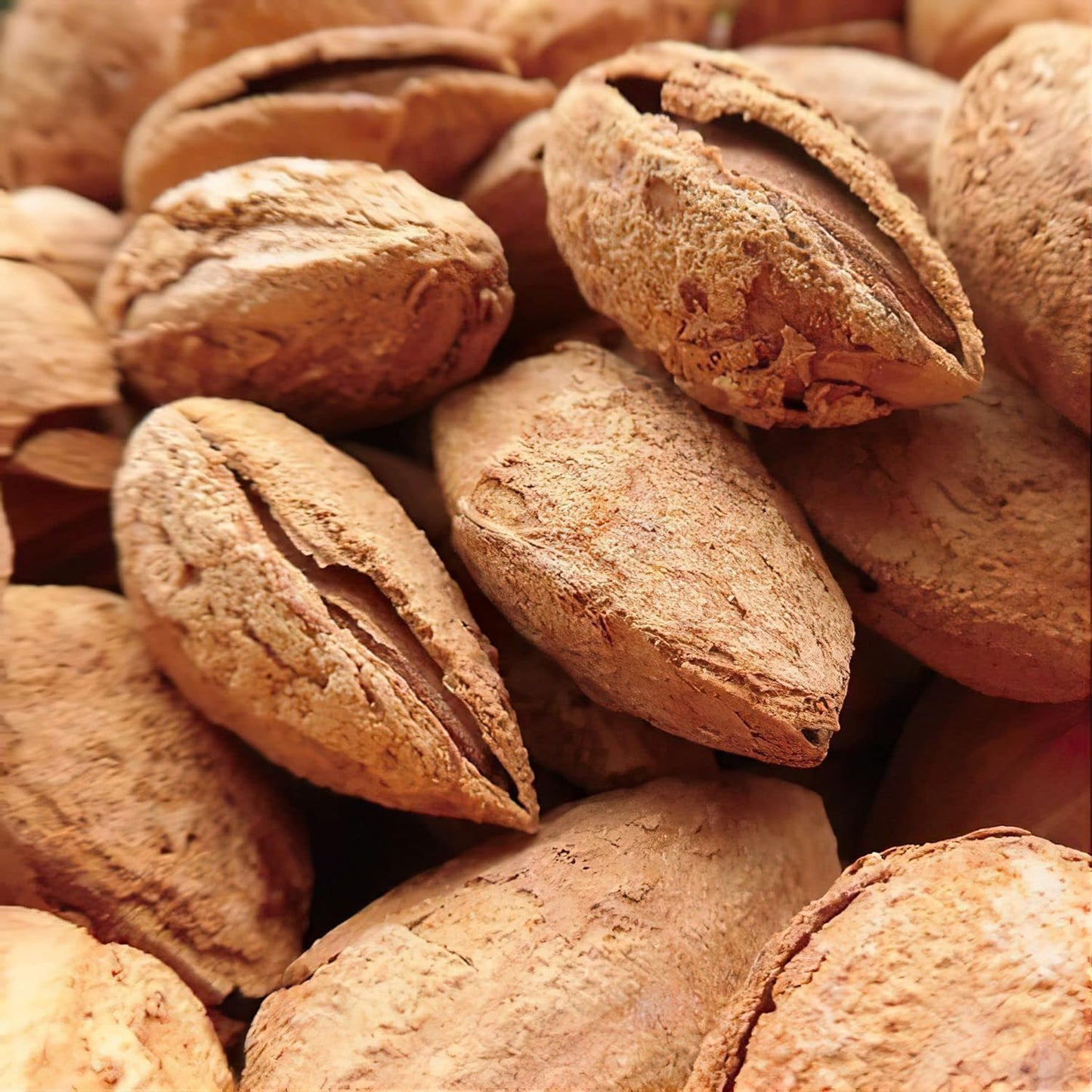 Kavrulmuş Kabuklu Özbek Bademi Tuzsuz 500g